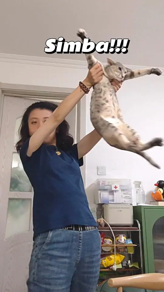 yogin幺了个菁