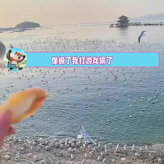 快乐摸娱办