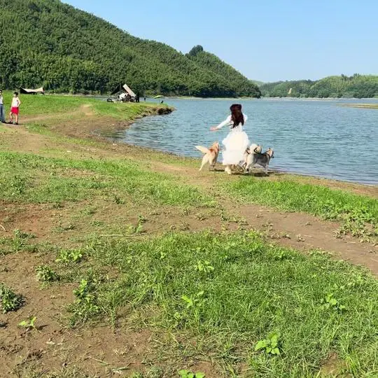 妮可小姐姐