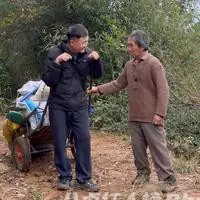 毛小欣