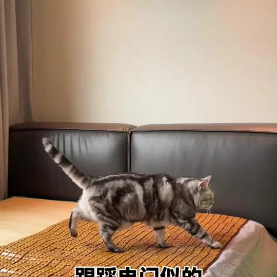 安生的爸爸