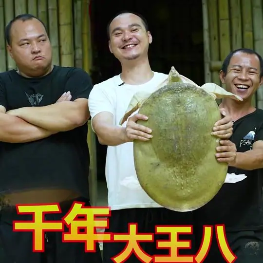 乡野M仔