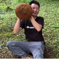 乡村小刚