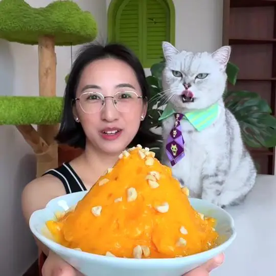 料理猫王