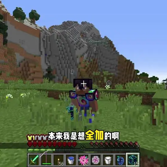 叶枫雷忠阳（恋爱版）