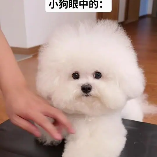 小花花的每一天