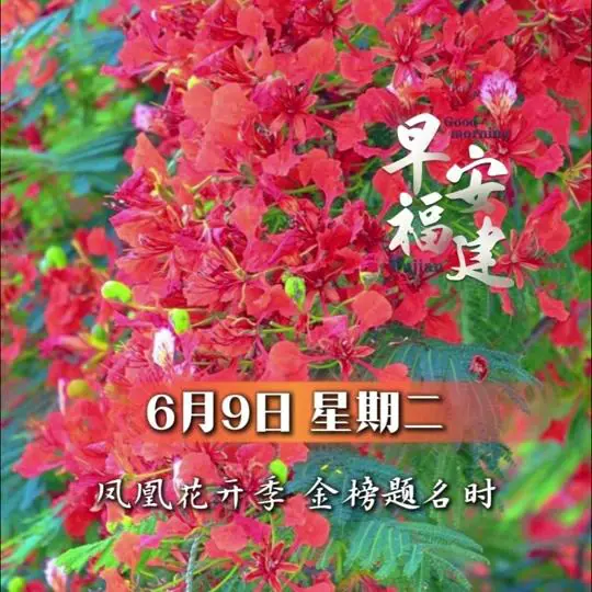 海博TV福建发布