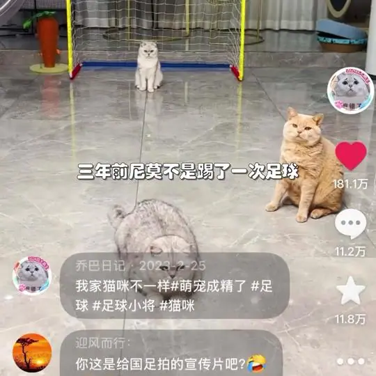 乔巴日记