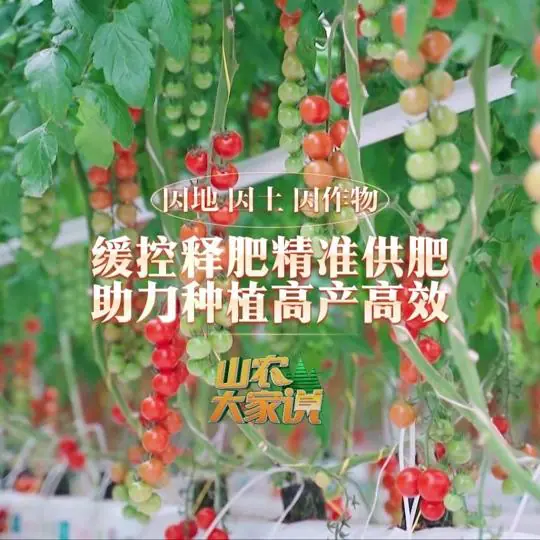 乡村季风
