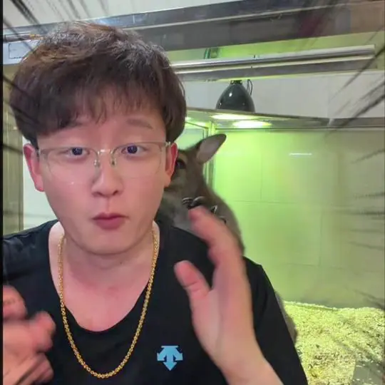 王小怪